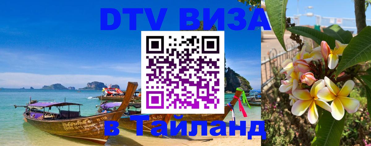 Сколько стоит DTV виза — актуальные цены, оформление даже без документов - 03.10.2025 